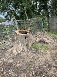 a tree stump in a yard with a fence around it